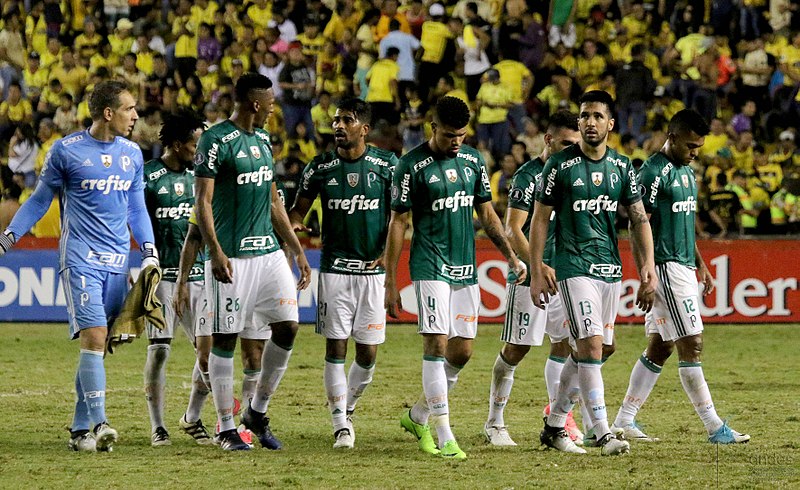 Time do Palmeiras em campo - Wikimedia Commons