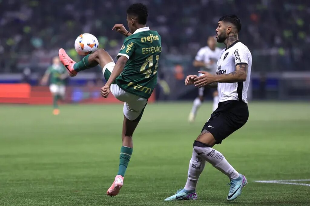 jogadores do palmeiras e do botafogo se enfrentando em campo