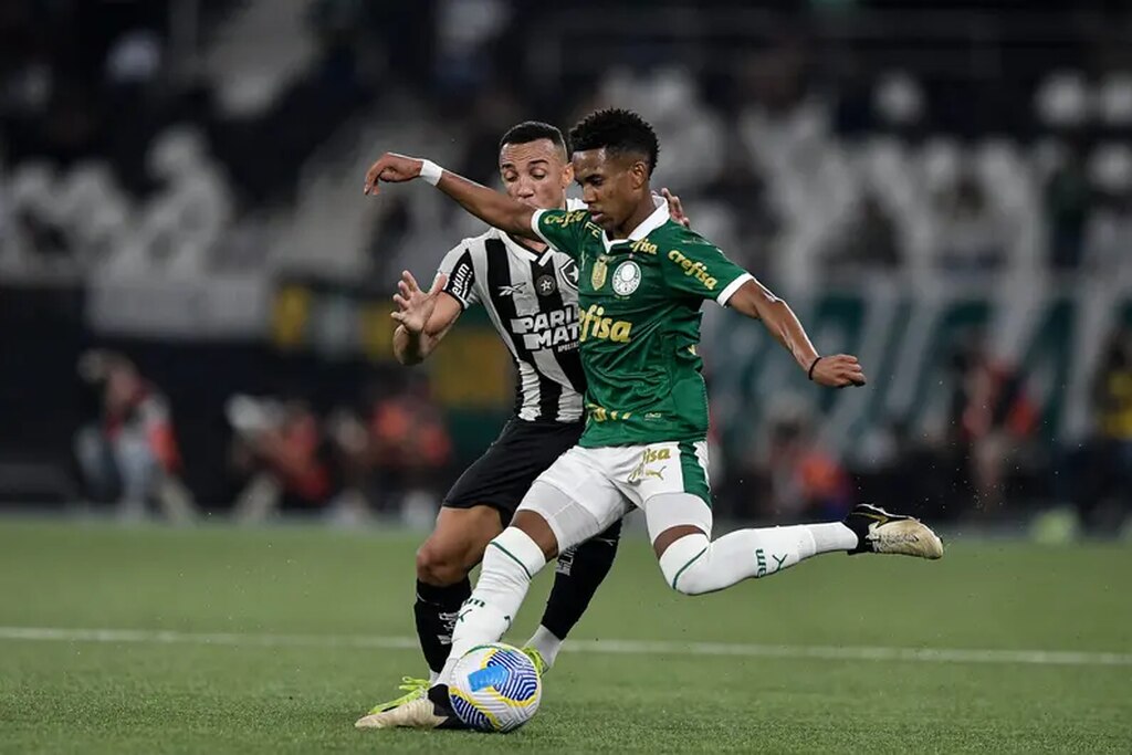 jogadores do palmeiras e botafogo em campo. as apostas round robin podem ser usadas no futebol