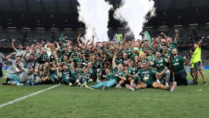 Diretoria, comissão técnica, staf e jogadores, da SE Palmeiras, comemoram a conquista do Campeonato Brasileiro, Série A, após jogo contra a equipe do Cruzeiro EC, em partida válida pela trigésima oitava rodada, no Estádio do Mineirão.