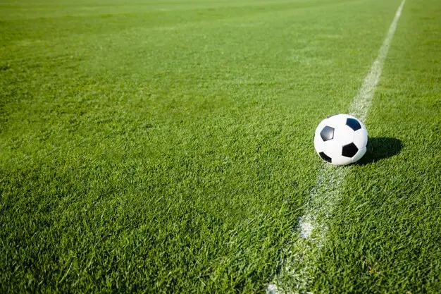 Campo de futebol - Foto: Freepik