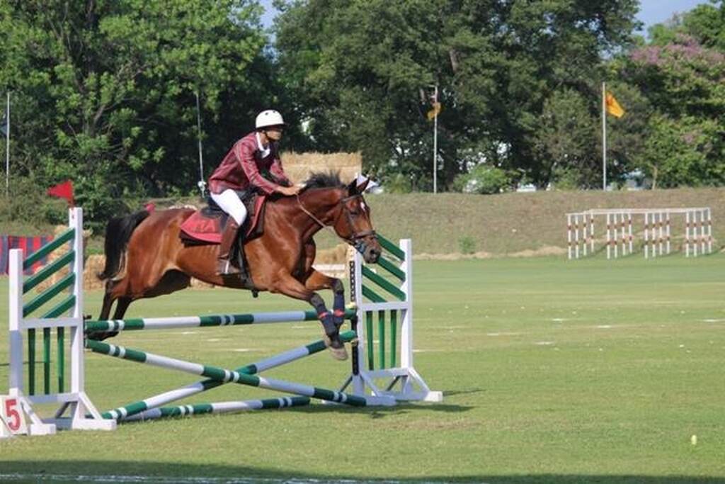 Imagem de um atleta de hipismo