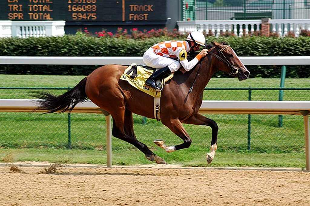 Atleta de hipismo correndo com seu cavalo