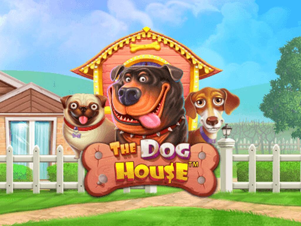 Entenda como funciona o jogo slot The Dog House