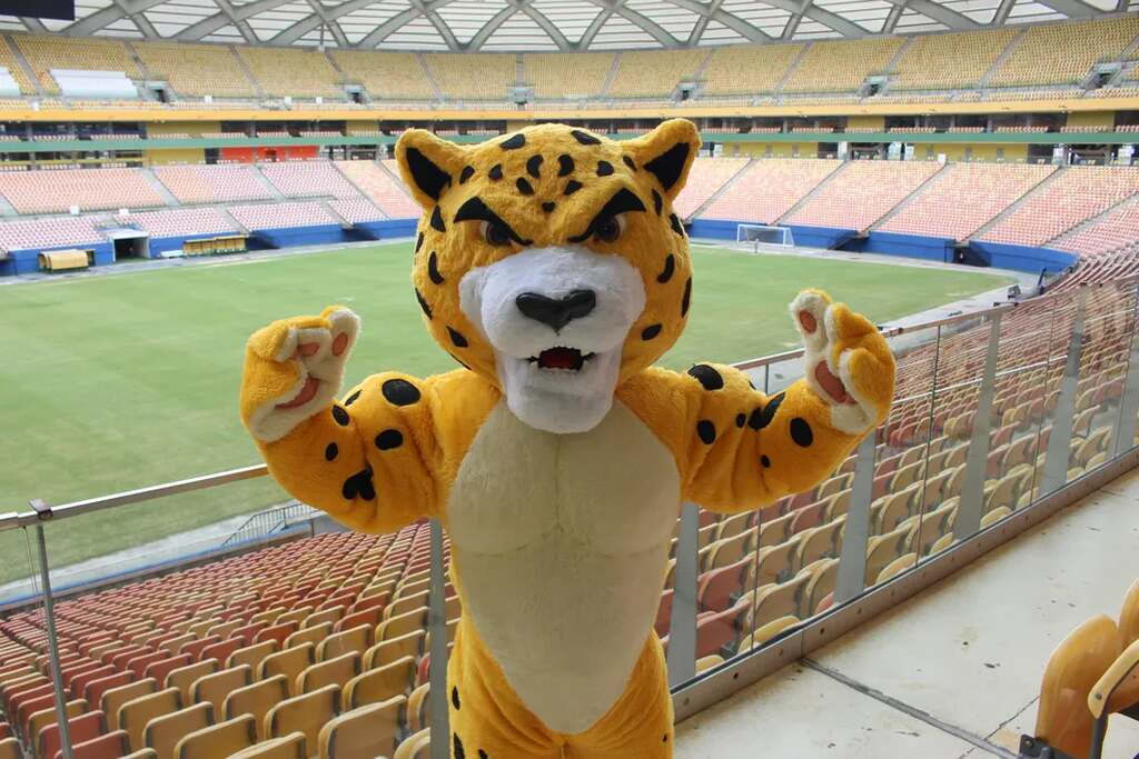 mascote do amazonas vestido, com o estádio ao fundo