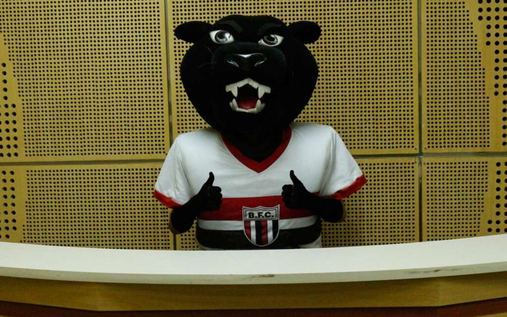 Mascote do Botafogo-SP cumprimentando para a foto