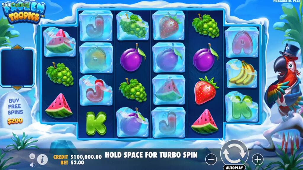 por dentro do jogo slot Frozen Tropics