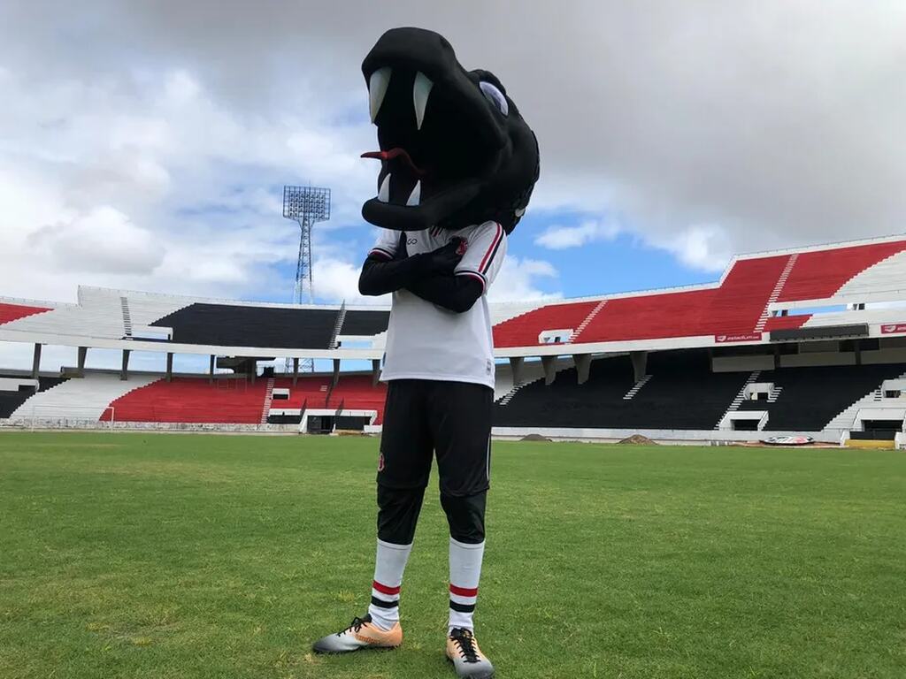 mascote que mostra a historia do santa cruz, com os braços cruzados no meio do gramado do estádio