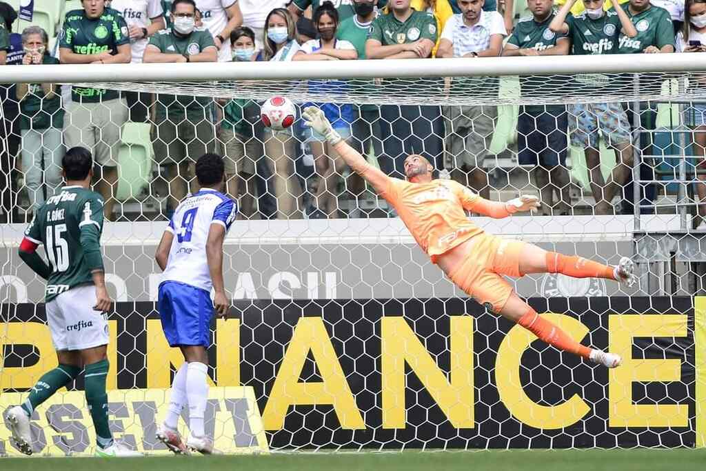 weverton do palmeiras fazendo uma defesa. ele é um dos melhores goleiros da serie a