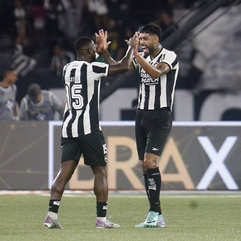 jogadores do botafogo comemorando a vitoria em campo