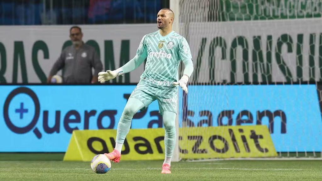 weverton do palmeiras em campo. o jogador é um dos melhores goleiros da serie a