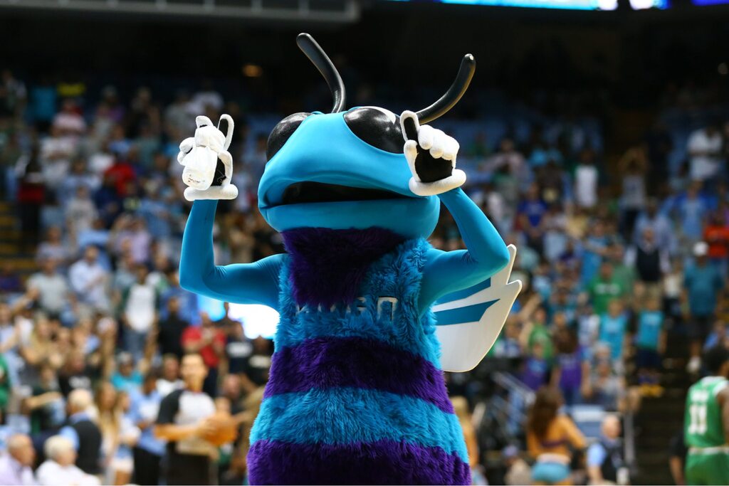 mascote do charlotte hornets historia em quadra animando a torcida